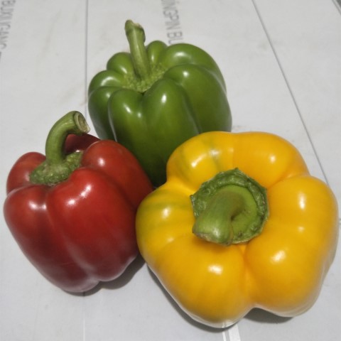 菜鲜园精品蔬菜