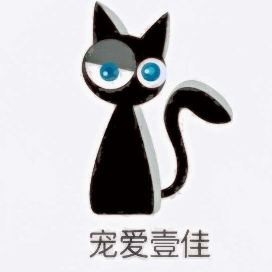 宠爱壹佳猫狗用品零售批发