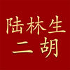 陆林生乐器旗舰店