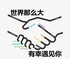 小妖精国际纹饰