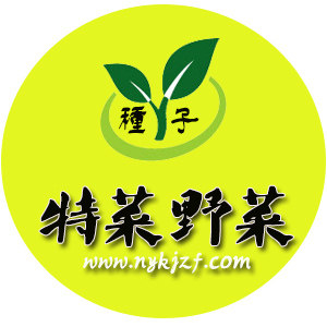 新奇特种子店的LOGO