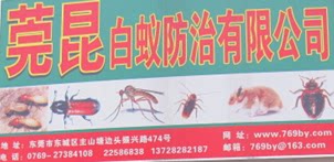 莞昆虫控店