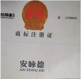 广友铁观音金骏眉福鼎白茶