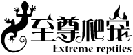 至尊爬宠