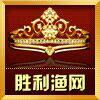 巢湖胜利渔网