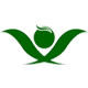 新林清悦