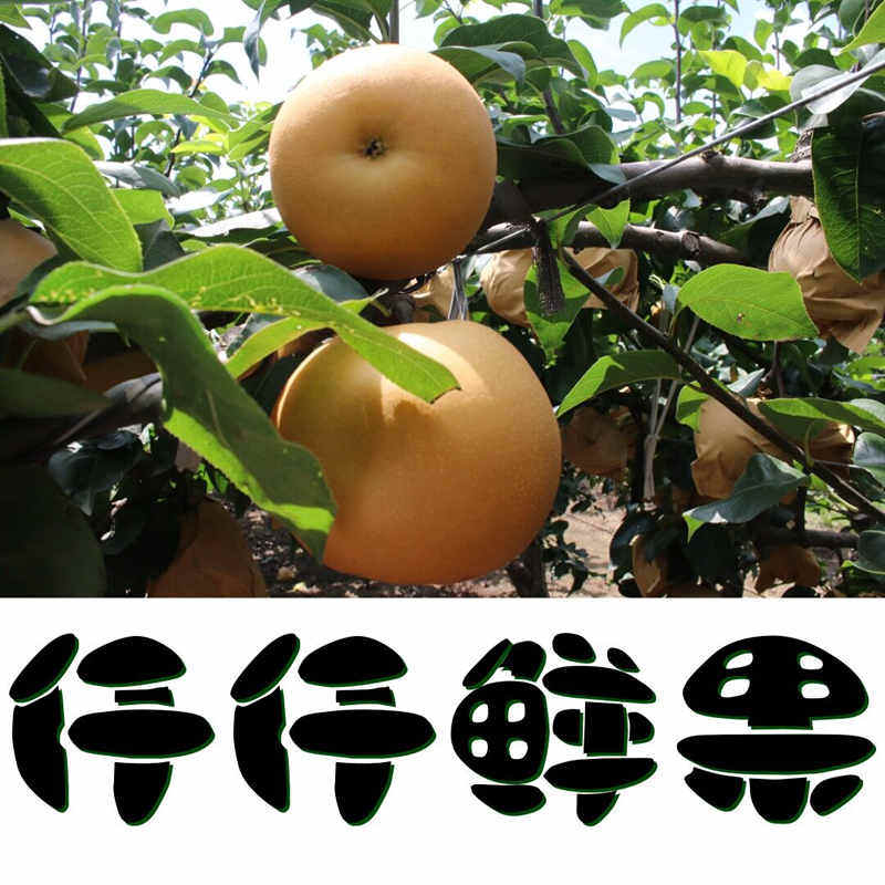 仟仟鲜果