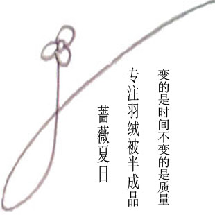 蔷薇夏日