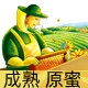 深山养蜂孩子的创业梦之店