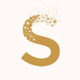 satellite旗舰店的LOGO