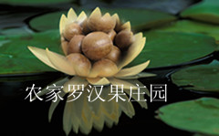 农家罗汉果庄园