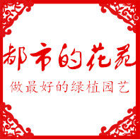 都市的花苑