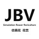 jbv旗舰店
