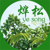 烨松农业的LOGO