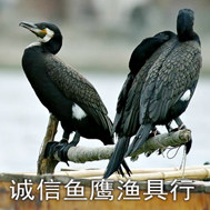 鱼鹰渔具商行的LOGO