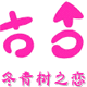 冬青树之恋