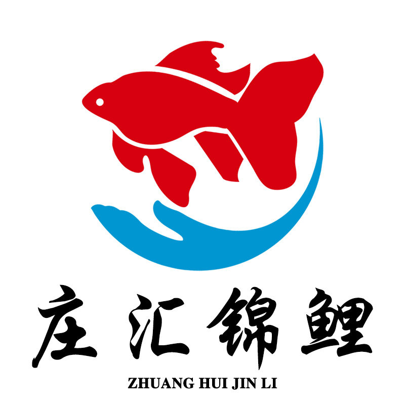 庄汇锦鲤
