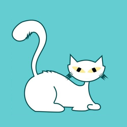 猫格格宠物生活馆