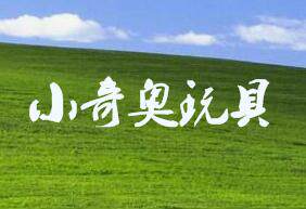 小奇奥玩具折扣店
