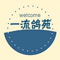 选鸽加QQ空间3536199363的LOGO