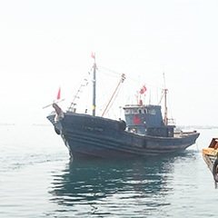 青岛海鲜水产店