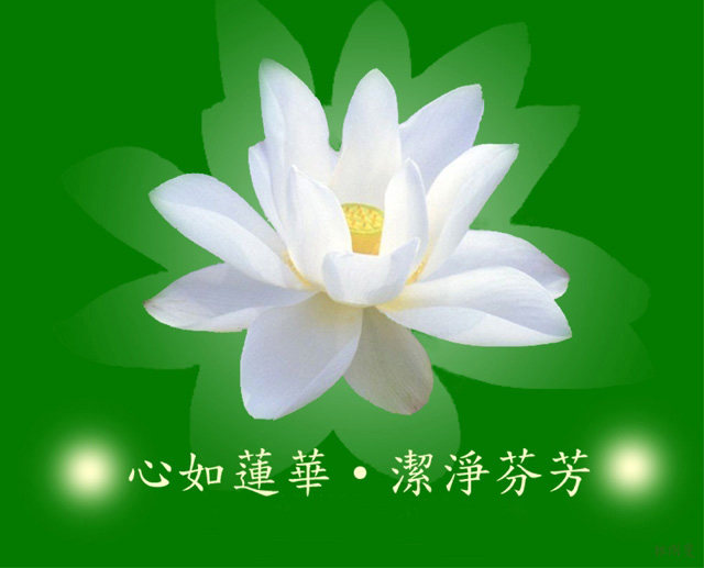 全息精品的LOGO