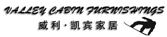 威利 凯宾