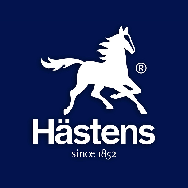 Hastens旗舰店