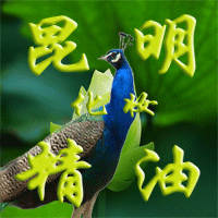 昆明化妆精油