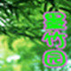 墨竹园时尚女包