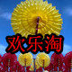 欢乐淘宫灯旗帜的LOGO