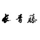 长青藤旗舰店的LOGO