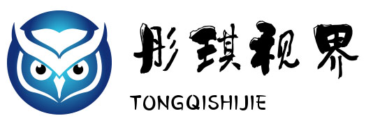 彤琪视界