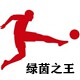 欧洲绿茵之王
