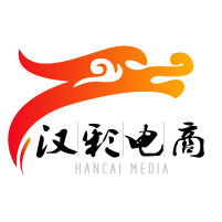 深圳汉彩电子商务有限公司