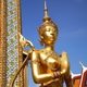 泰泰洋货 海藻面膜 美容 祛斑 祛痘