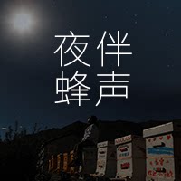 夜伴蜂声旗舰店的LOGO