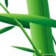 卓远竹木有限公司的LOGO