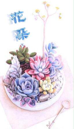 有间花坊