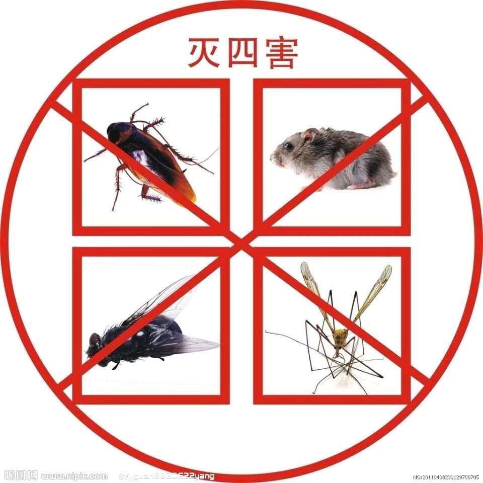 深圳洁净有害生物防治的LOGO