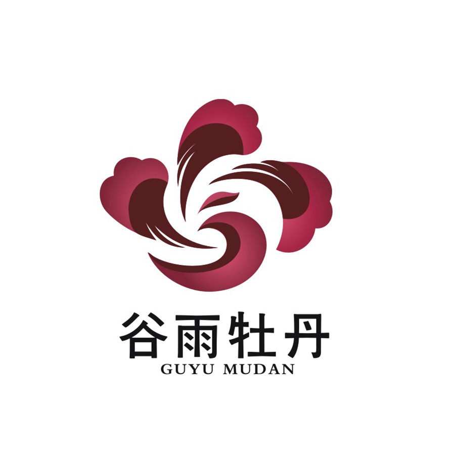 菏泽谷雨牡丹