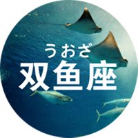 小月月毛衣铺