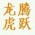 龙腾虎跃电子