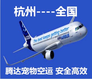 腾达宠物托运