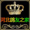河北鸽友之家的LOGO
