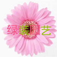 绿装园艺