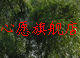 心愿渔具店的LOGO