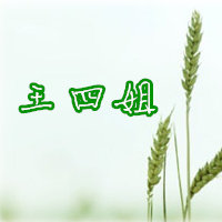 王四姐河南特产直销店的LOGO
