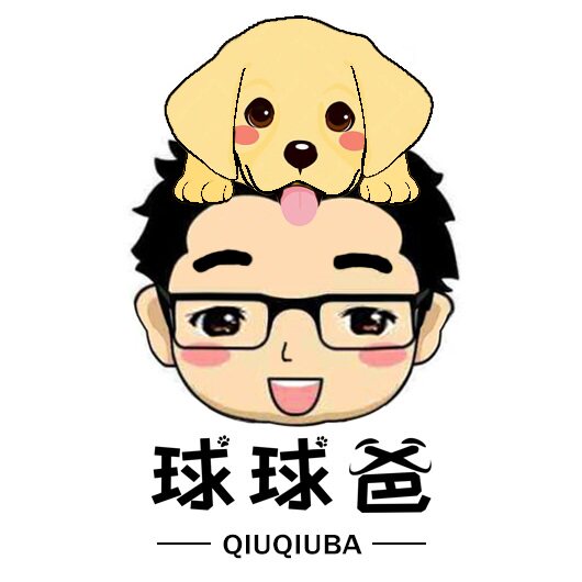球球爸