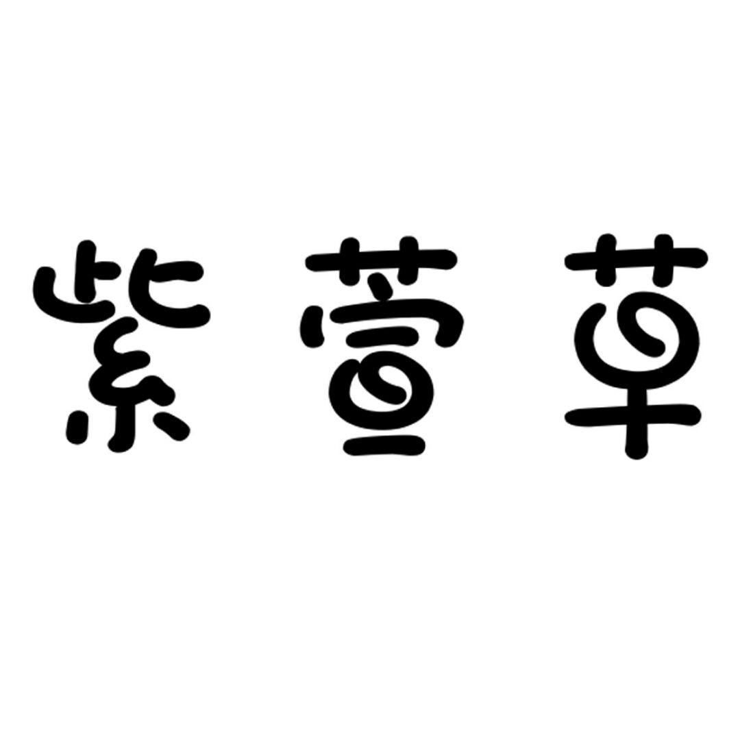 紫萱草 潮流女包